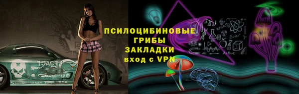 твердый Надым