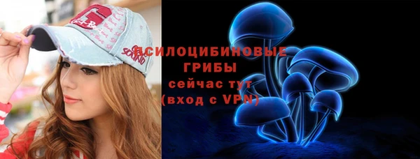 твердый Надым