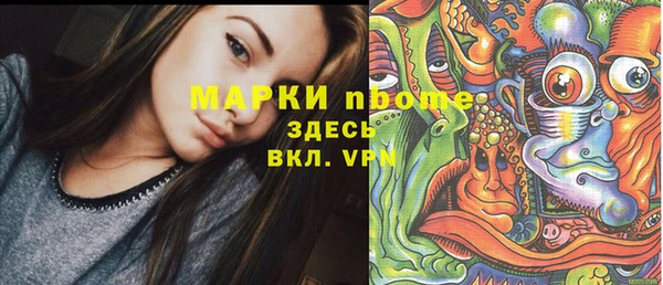 твердый Надым