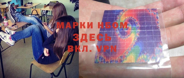 твердый Надым
