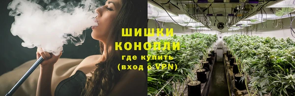 стафф Навашино