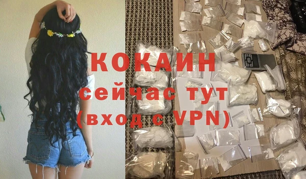 твердый Надым