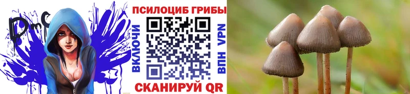 Галлюциногенные грибы MAGIC MUSHROOMS  Купить закладки  Семикаракорск 
